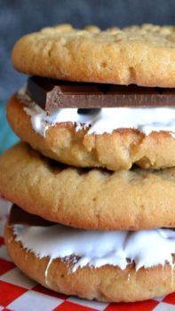 Peanut Butter Cookie S'mores