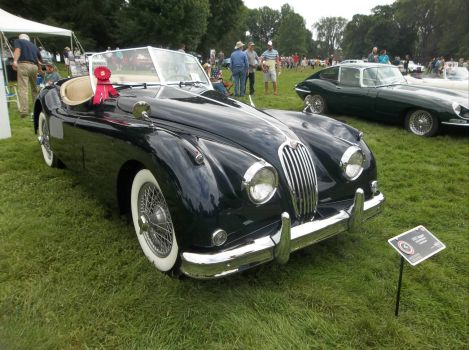 Jaguar, 1955... (2)