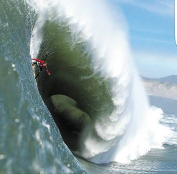 Surfer Dude.