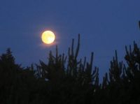 Full moon over Gearhart, Oregon
