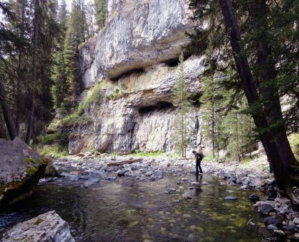 Solve Pebble Creek trail Yellowstone National Park jigsaw puzzle online with 143 pieces