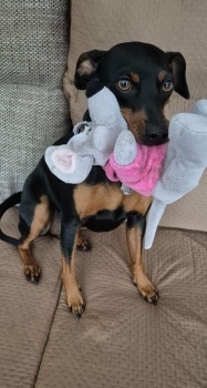 Bonnie.
