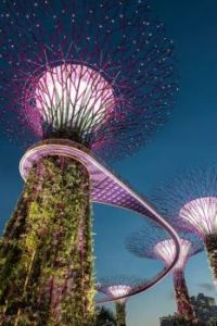 Gardens by the bay of Singapore