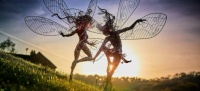 Wire Faeries! ☆