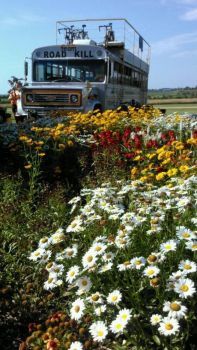 Roadkill Bus & Flowers RAGBRAI 2017