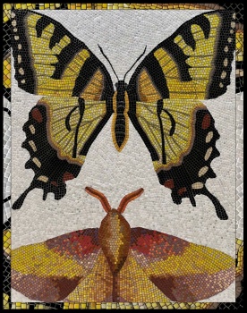 Butterfly Tiles-2