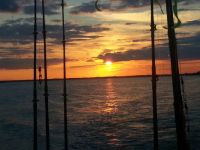 Kent Narrows Fishing Trips 