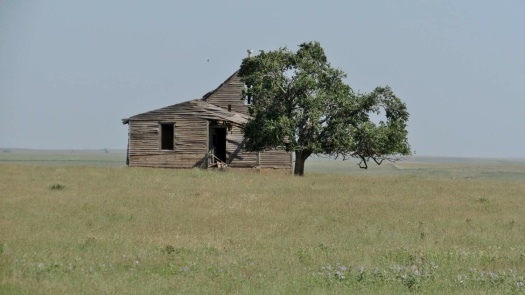 Lonely Little House On The Kansas Prairie 
