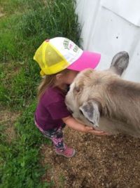 she loves all  animals