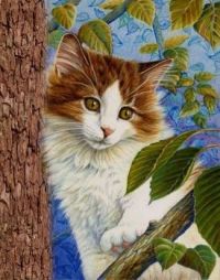 Kitten Caboodle Series - "Up A Tree"