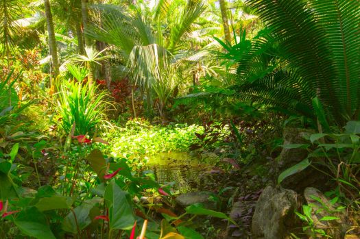 Solve Jungle Costa Rica jigsaw puzzle online with 294 pieces