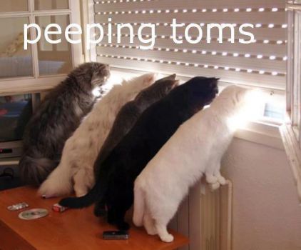 Peeping Toms
