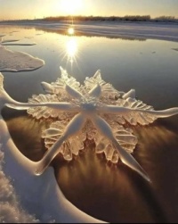 ice star
