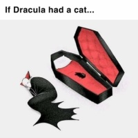 Dracula had a cat.....