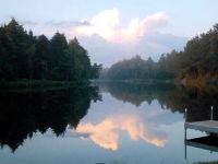 the pond