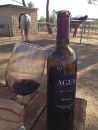 Agua Dulce Winery and our horses