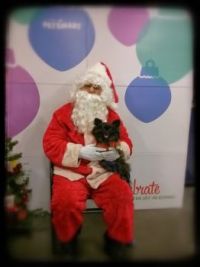 IMG_Barkley with Santa