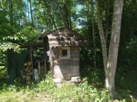 Small shed in the woods