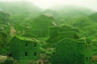 Mother Nature takes over this abandoned fishing village in the Shengsi Islands, China.