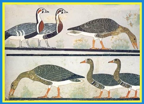 Solve The Meidum Geese is one of the most beautiful examples of ancient ...