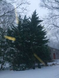 bad photography--catching snow--more challenging