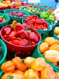 Peppers for sale!