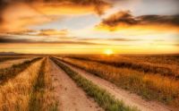 Country-road