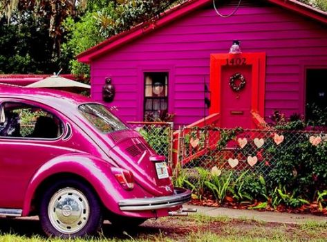 Fuschia: Coordinating VW with House