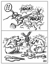 Jak se baví medvědi