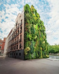vertical-garden-located-in-Madrid-Spain