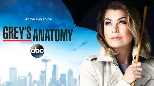 Shows to Watch: Grey's Anatomy