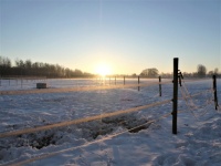 Winterscene, Febr 2021, Winterswijk