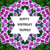 Happy Birthday, Wanda, Our Star Jigidi Solver