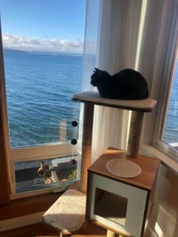 Black Jasper is currently accepting Roommate Applications.