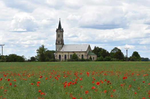 Makové pole s kostelem