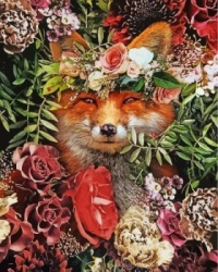 Floral Fox