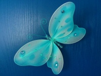 Schmetterling/Deko