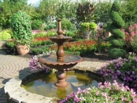 its for the birds