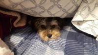 Mindy says "Good Morning!"