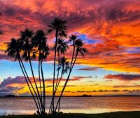 Sunset in Clearwater, Florida USA