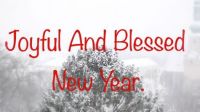 I wish all my Jigidi Friends a Joyful and Blessed New Year...