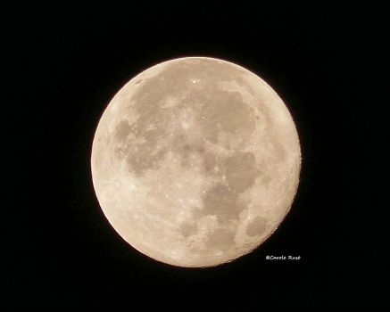 Full Moon  November 15, 2016
