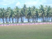 Guam beach