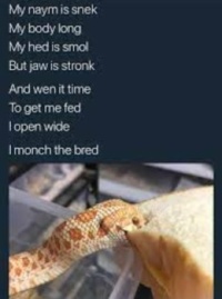 Snek go monch