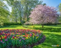 Spring at Dow Gardens, Midland, Michigan
