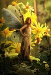 butterfly_fairy