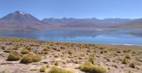 Laguna Miscanti - Andes - Chile
