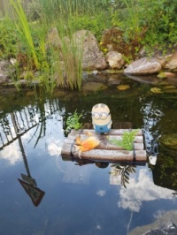Minion on the pond