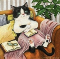 Cat Reading on Couch from the Reiki Cat Lady on FB