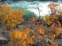 Fall Colors